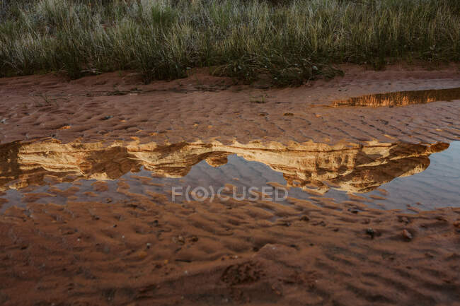 Paredes del cañón reflejadas en un charco de barro arenoso en un manantial del desierto - foto de stock