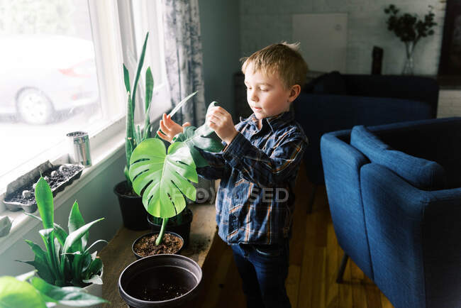 Retrato de adorable niño pequeño con olla de monstera en casa - foto de stock