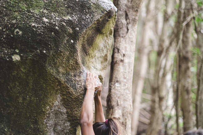 Upper body of a female climber climbing a rock in a forest — Stock Photo