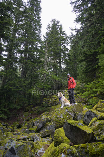 Male hiker and fluffy dog standing on mossy rocks in the mountains — Stock Photo