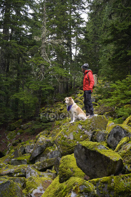 Männlicher Wanderer und flauschiger Hund stehen auf bemoosten Felsen in den Bergen — Stockfoto