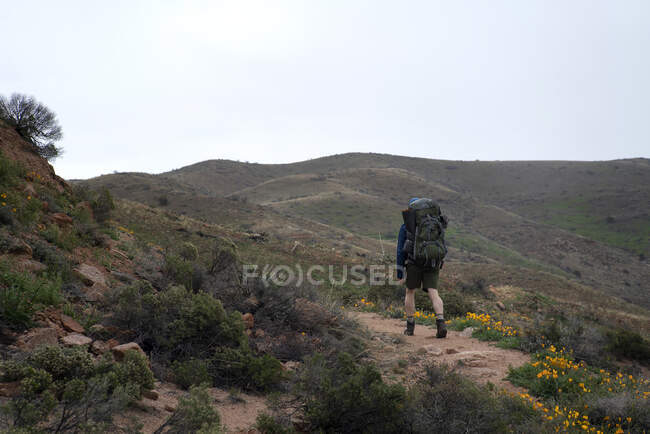 Un hombre con una chaqueta roja camina por las montañas - foto de stock