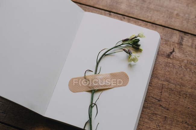 Цветок с гипсом на блокноте на деревянном столе — стоковое фото