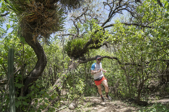 Un uomo che corre su un sentiero sotto un albero con orchidee a San Sebastian — Foto stock