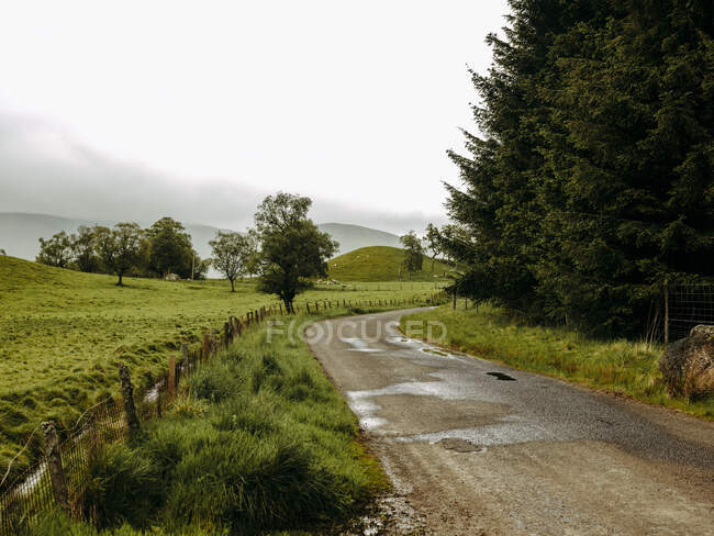 Route de campagne en Écosse sur fond de nature — Photo de stock