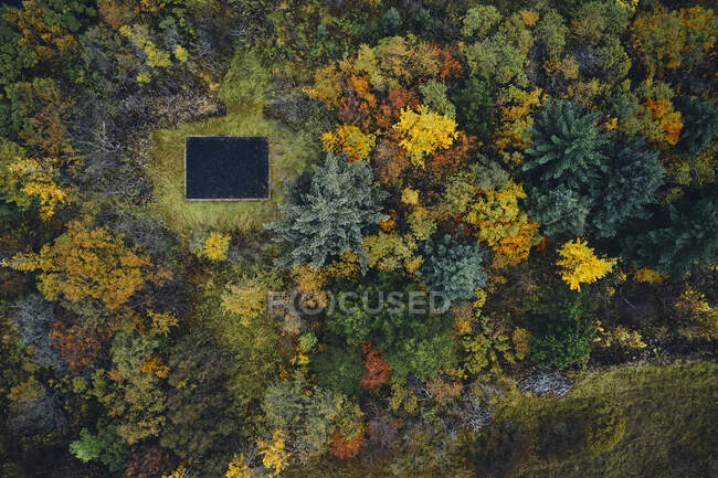 Draufsicht auf das schwarze Fundament eines gealterten Hauses auf einer Lichtung inmitten von Herbstbäumen in einem Wald in Island — Stockfoto