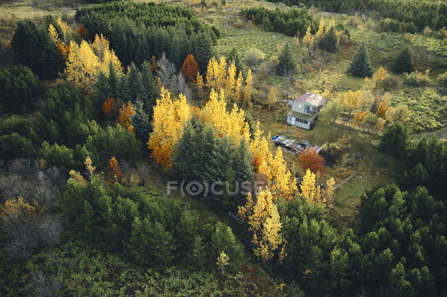 Vue aérienne de la maison de campagne parmi les arbres automnaux colorés dans le paysage rural de l'Islande — Photo de stock
