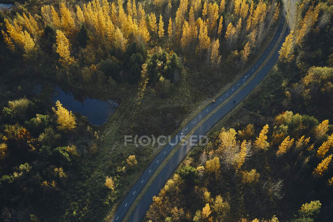 Desde arriba vista aérea del camino de asfalto pasando por un increíble bosque de otoño con un pequeño estanque en un tranquilo día soleado en Islandia - foto de stock