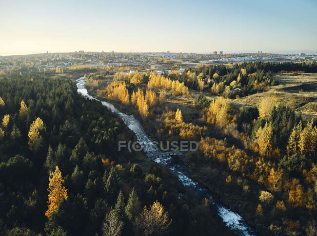 Picturesque drone view of rapid rive with bridge flowing through autumn forest against cloudless evening sky in countryside in Iceland — Stock Photo