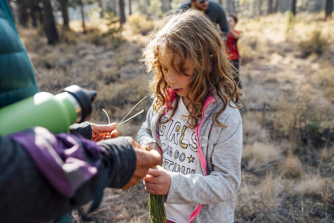 Menina na natureza com a família olhando para agulhas de pinheiro na mão — Fotografia de Stock