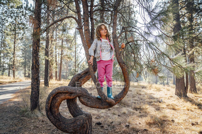 Girl in rubber boots and sweatpants climbing pine tree in forest — Stock Photo