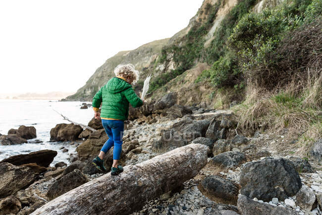 Bambino riccio che cammina sul tronco vicino all'oceano in Nuova Zelanda — Foto stock