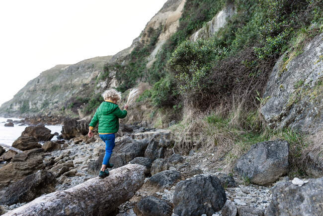 Маленький ребенок ходит по бревно возле океана в Новой Зеландии — стоковое фото