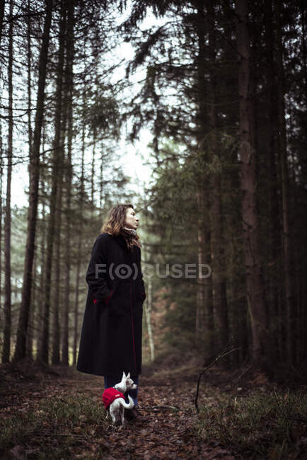 Красива молода натуральна жінка стоїть з маленькою собакою в глибокому лісі — стокове фото