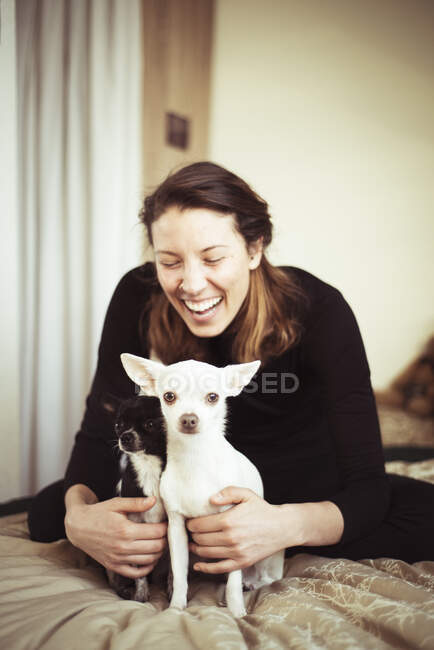 Mujer joven se ríe en casa con dos perros chihuahua en luz cálida - foto de stock
