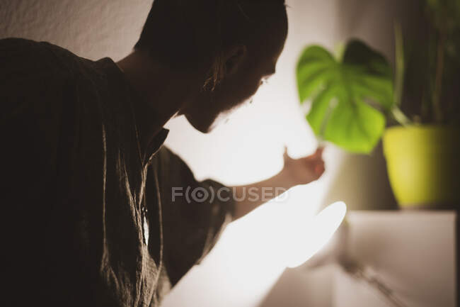 Artistic figure in shadow reaches for plant at home in the evening — Stock Photo