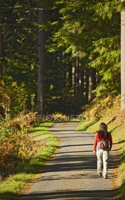 Зрелая женщина-туристка ходит по лесной тропе — стоковое фото