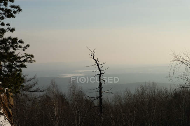 Inverno Paisagem Ural. Horizontes florestais — Fotografia de Stock