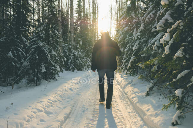 Senderista severo caminando a lo largo de la ruta del sendero de montaña. El paisaje de los Urales - foto de stock