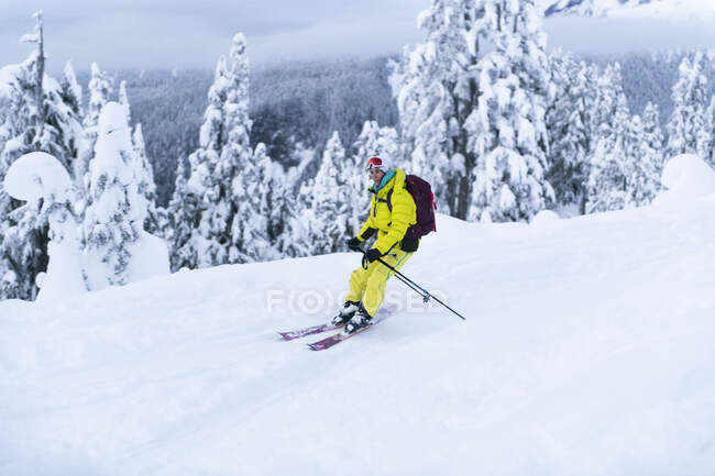 Жінка на жовтих лижах позаду себе на лижах у Скваміші, ВС, хребет Пола. — стокове фото