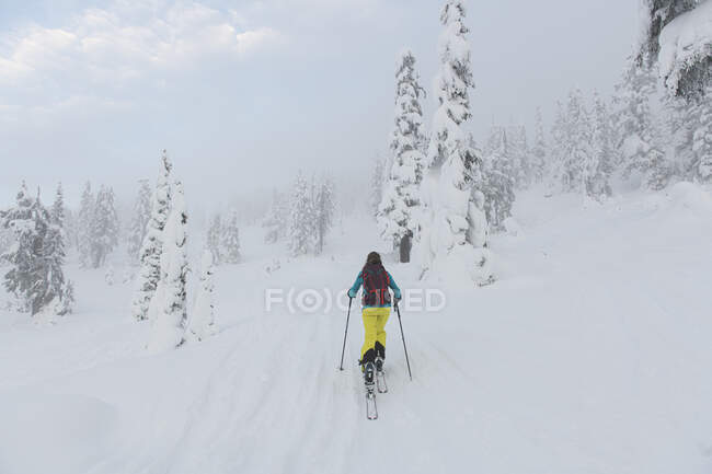 Frau bahnt sich ihren Weg nach oben im Hinterland Red Heather, Squamish — Stockfoto