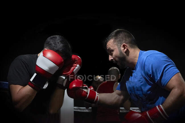 Два боксера тренируются на ринге — стоковое фото