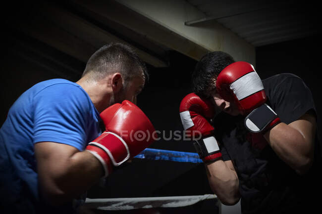 Deux boxeurs s'entraînent sur un ring — Photo de stock