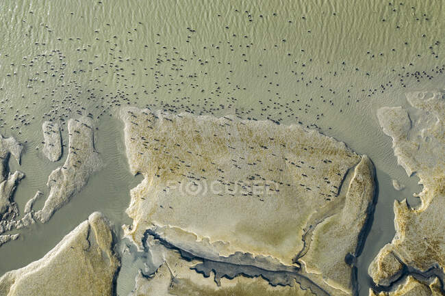 Aerials intorno alle saline e strane vie d'acqua nella baia di San Francisco — Foto stock