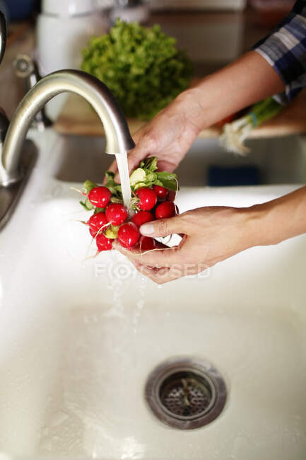Close up of woman hands washing bunch of radishes — Stock Photo