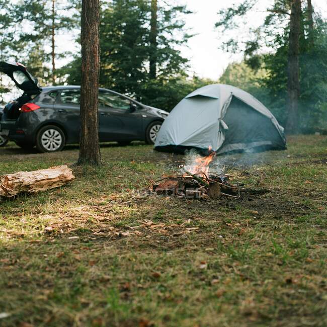 Camping près du feu de joie, gros plan — Photo de stock
