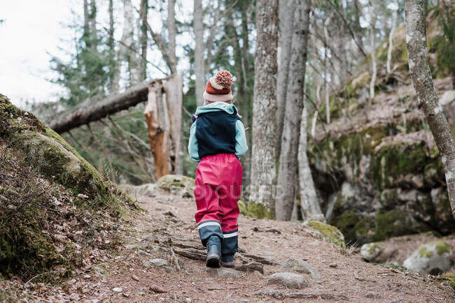 Rückansicht eines jungen Mädchens, das durch einen Wald in Schweden wandert — Stockfoto