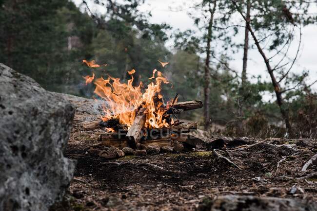Feu de camp brûlant dans la forêt — Photo de stock