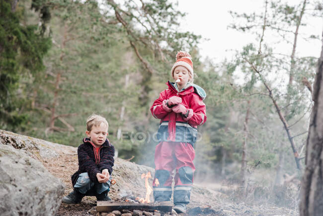 Hermano y hermana cocinando malvaviscos en una fogata en Suecia — Stock Photo