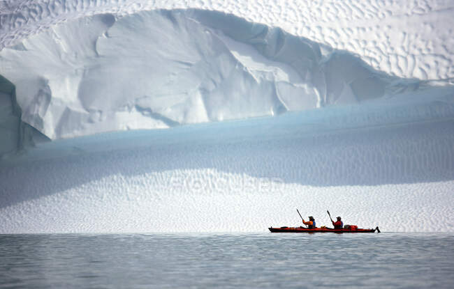 Два чоловіки веслують морським каяком вздовж айсберга в Гренландії. — стокове фото