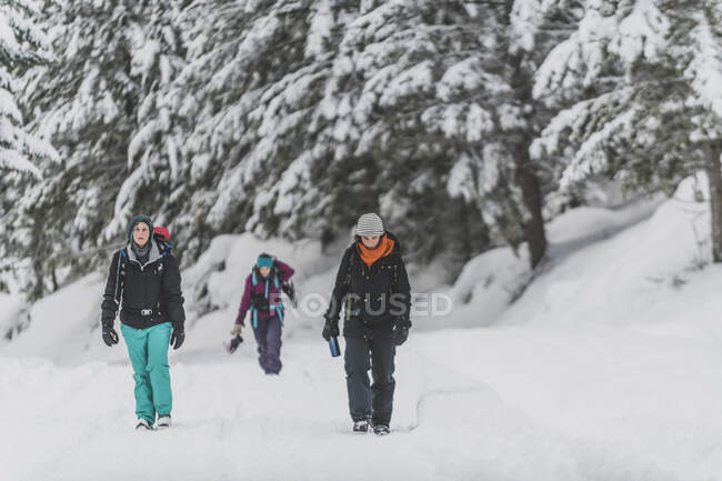 Gruppo di tre persone che camminano nella neve verso la macchina fotografica Manning Park — Foto stock