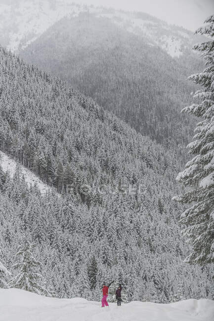 Two young women waving at camera from away in Manning Park at winter — Stock Photo