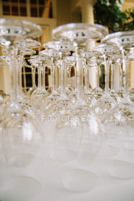 Stemware lined up for servers — Stock Photo