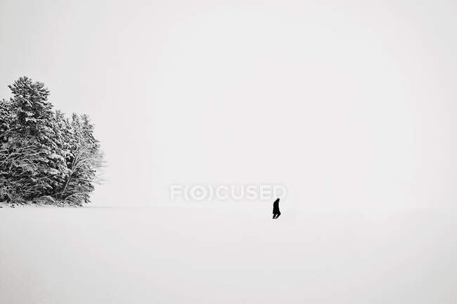 Figura solitária andando através do lago congelado na tempestade de neve com árvores — Fotografia de Stock