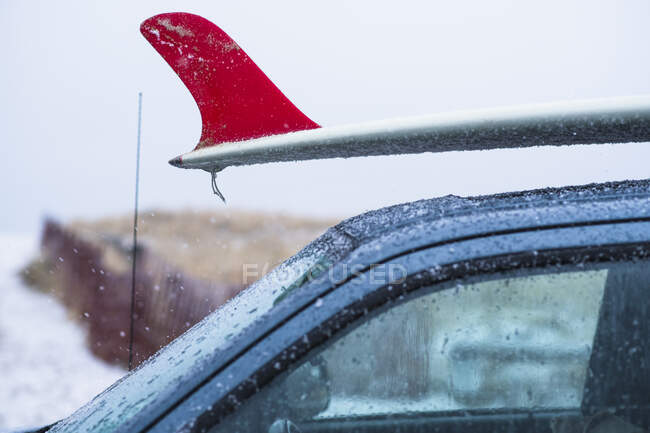 Tavola da surf congelata innevata su un'auto — Foto stock