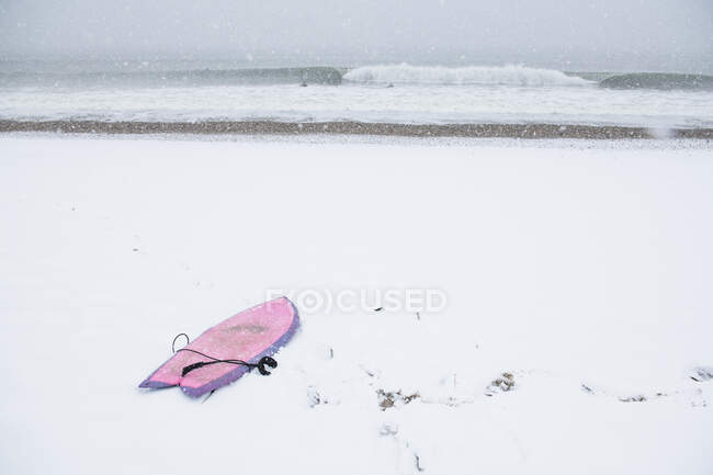 Tabla de surf rosa en la playa cubierta de nieve - foto de stock