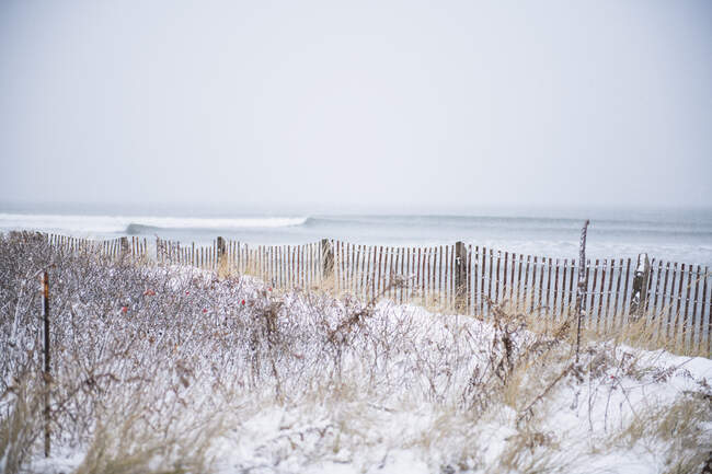 Морские волны на снежном пляже — стоковое фото