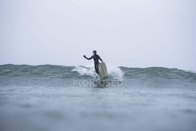 Woman surfing during winter snow, South Kingstown, RI, United States — Stock Photo