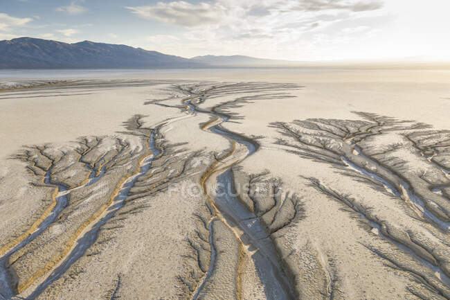 Erosion Cuts Fratcal Tree Looking Patterns into a Dry Lake Bed — Stock Photo