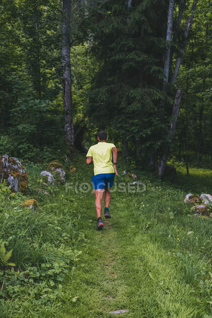 Uma trilha de jovens atravessa a floresta de Chamonix, França. — Fotografia de Stock