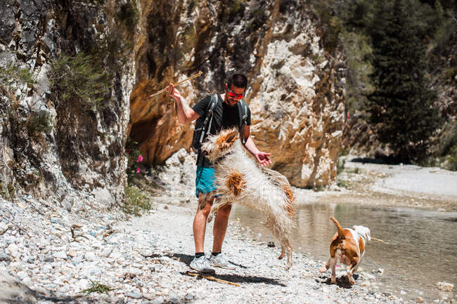 Молодий чоловік грає з собаками на річковому каньйоні — стокове фото
