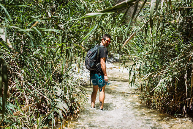 Giovane uomo a piedi lungo il fiume circondato da piante — Foto stock