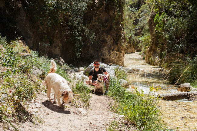 Joven en el río con dos perros en verano - foto de stock