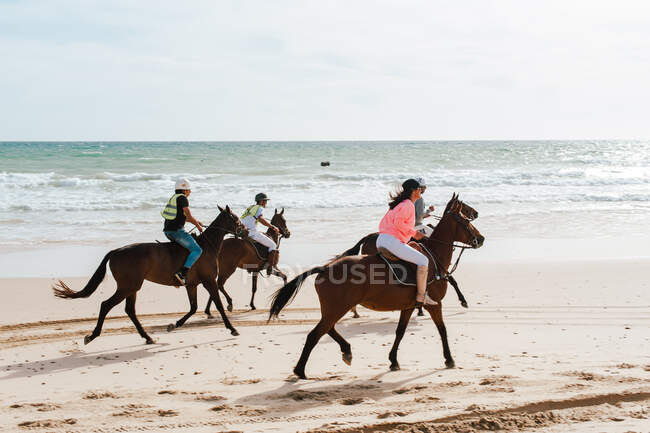 Андалузские лошади мчатся по пляжу на юге Испании — стоковое фото