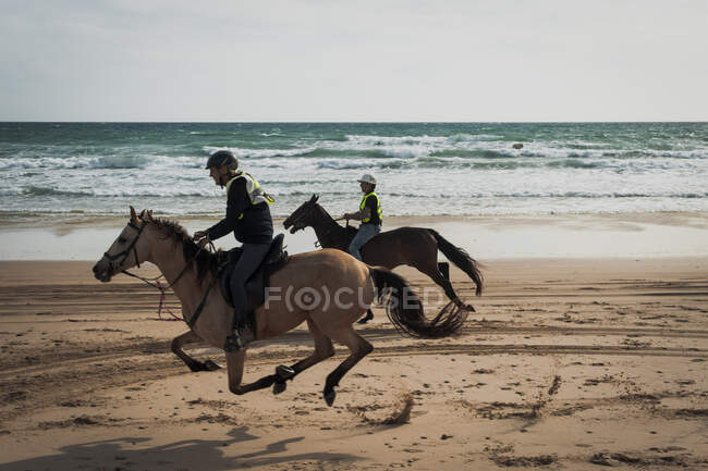 Dois cavalos andaluzes correndo pela praia em Espanha — Fotografia de Stock