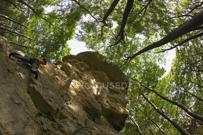 Mature woman climbing limestone cliff in North Germany — Stock Photo